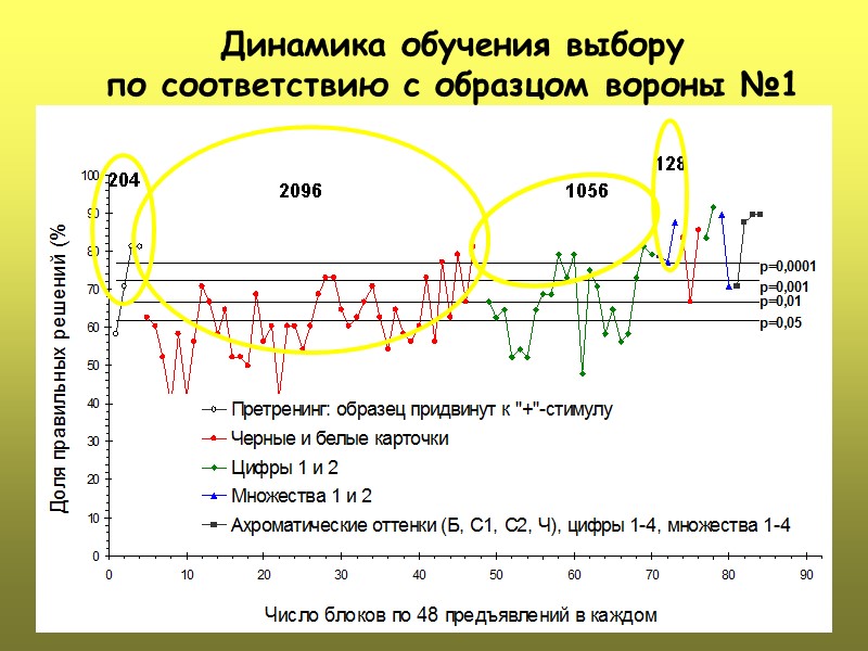Динамика обучения выбору  по соответствию с образцом вороны №1  204 2096 1056
